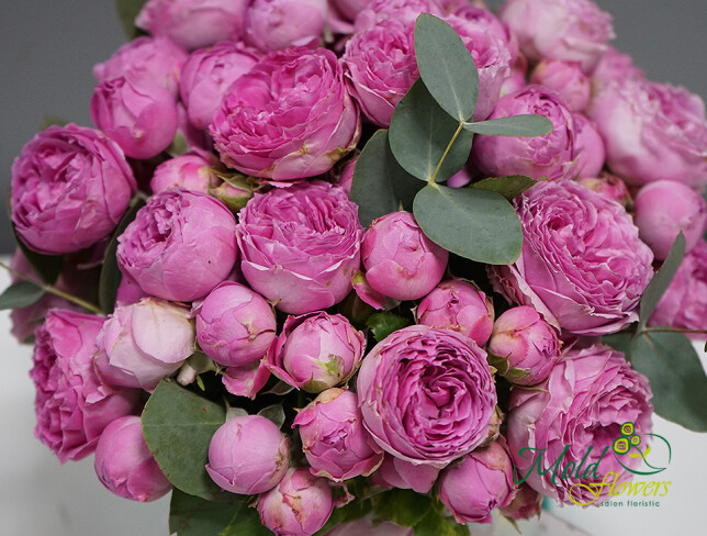 Box with pink peony-style roses photo